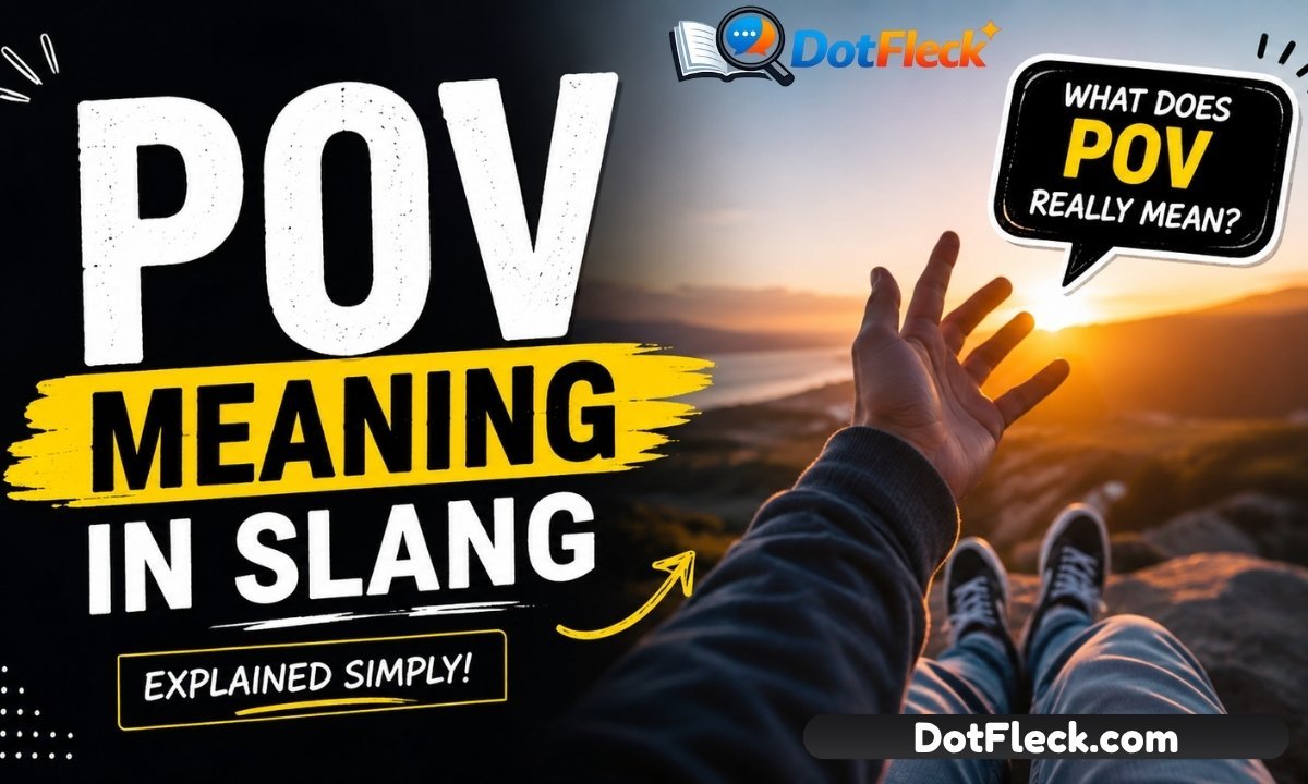 POV Meaning in Slang